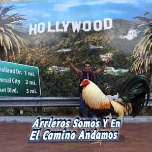 Meet your Posher, Rafa